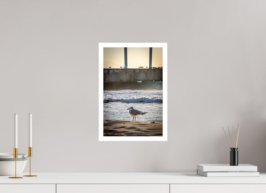10 x 15″, Gloss Hahnemühle Photo Silk Baryta X Playa del Carmen Ave en Muelle