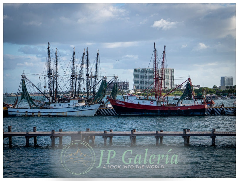 Cozumel Playa Mulle Dia