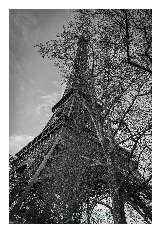 Paris Torre Eiffel - JP Galería