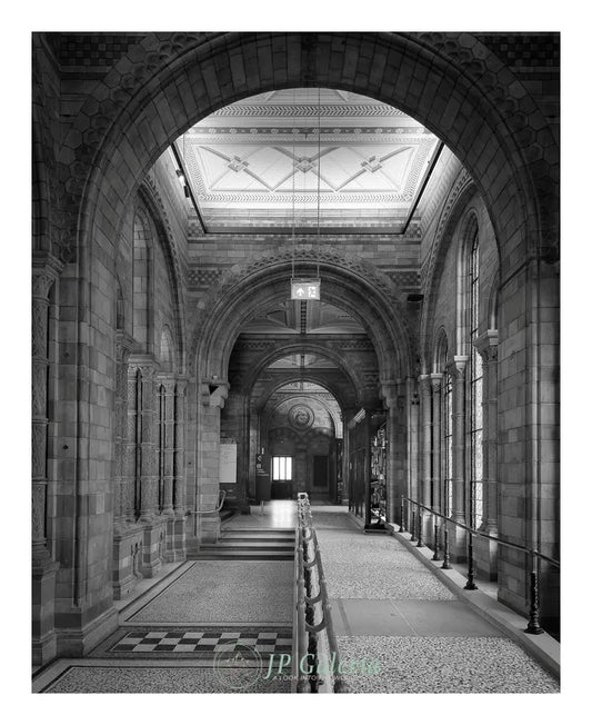 Londres Museo de Historia Natural - JP Galería