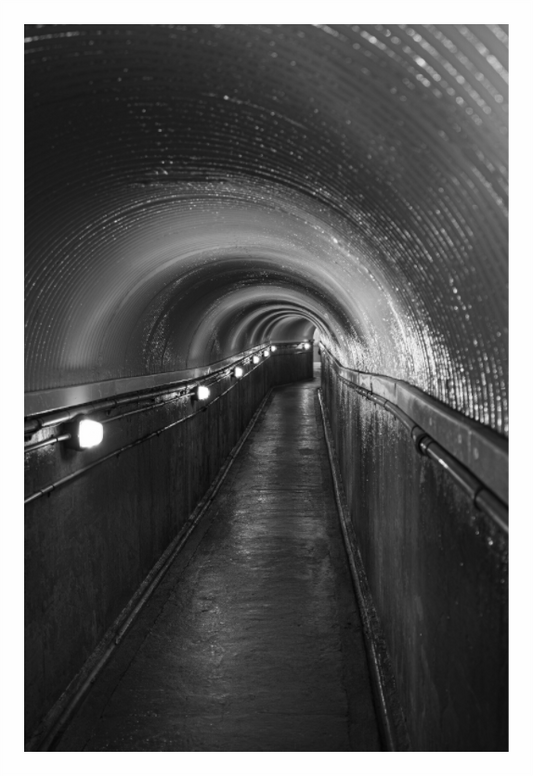 Main image Niagara: Túnel White Water Walk, Poder del Río – JP Galería