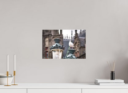 15 x 10″, Photo Print Under Matte Acrylic Glass El Guardián en la Farola