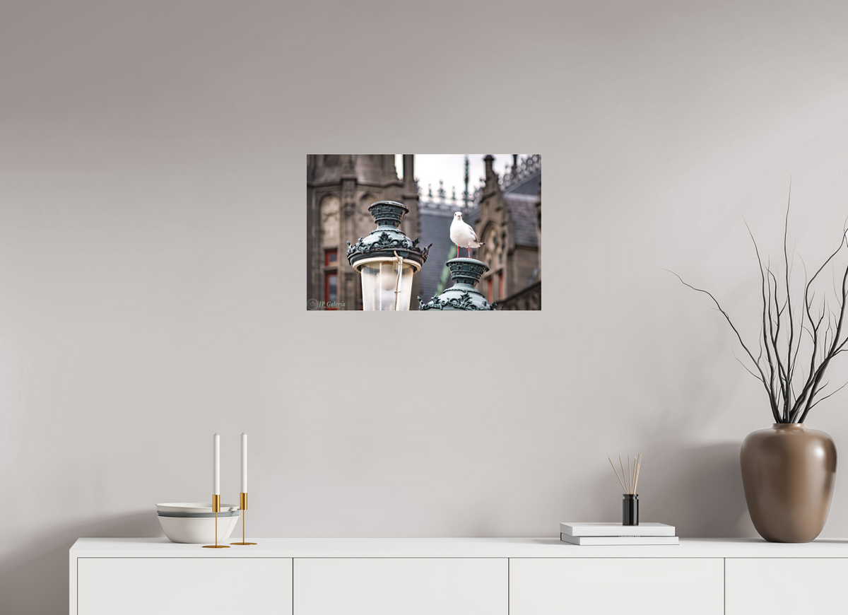 24 x 16″, Photo Print Under Matte Acrylic Glass El Guardián en la Farola
