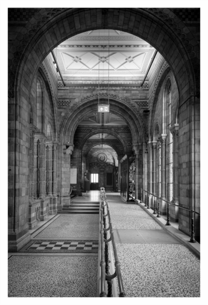 Main image Londres Museo de Historia Natural - Fine Art - Black and White
