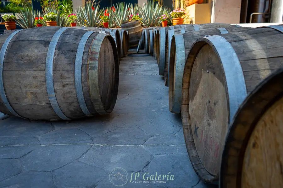 Pueblo Mágico Tequila Jalisco Barricas - JP Galería