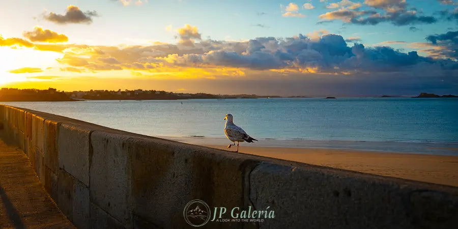 Bretaña Francia Saint-Malo Atardecer - JP Galería