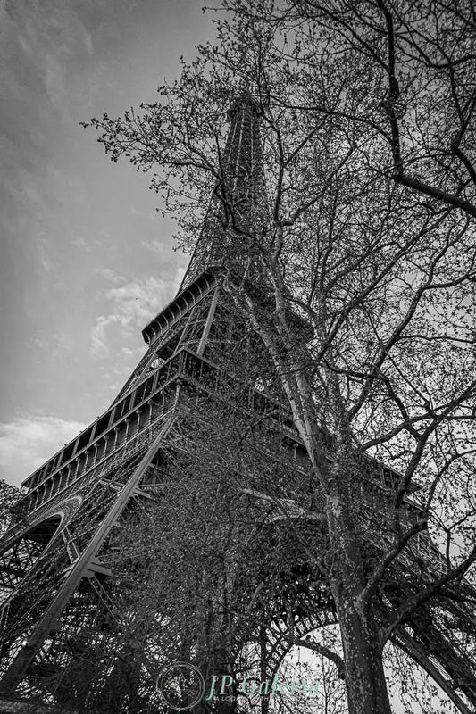 Paris Torre Eiffel - JP Galería