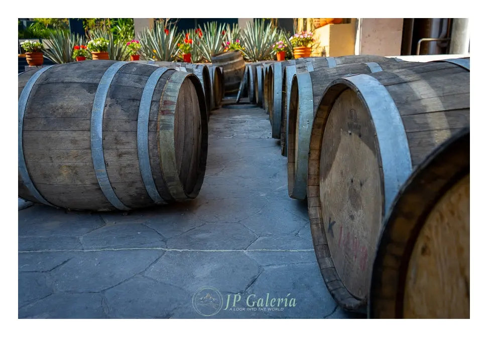 Pueblo Mágico Tequila Jalisco Barricas - JP Galería