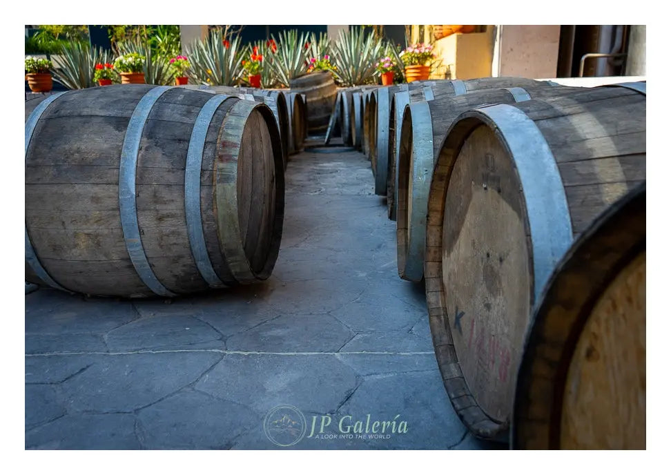 Pueblo Mágico Tequila Jalisco Barricas - JP Galería