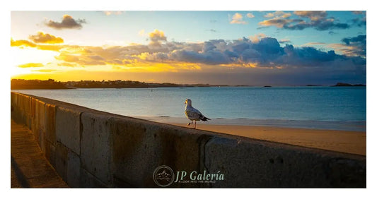 Bretaña Francia Saint-Malo Atardecer - JP Galería