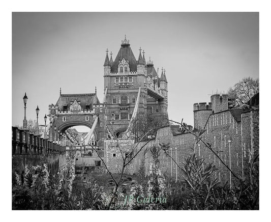 Londres Puente de la Torre - JP Galería