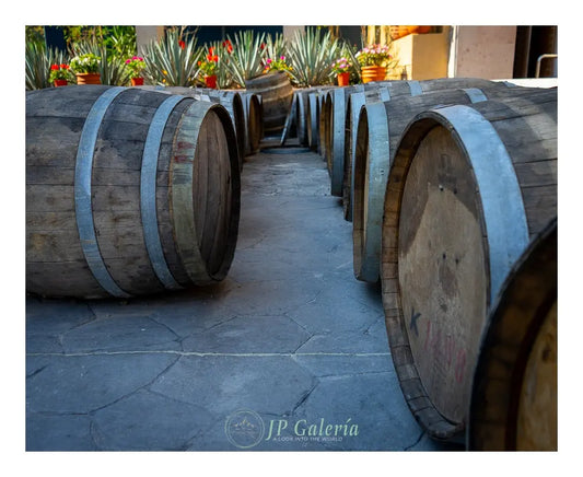 Pueblo Mágico Tequila Jalisco Barricas - JP Galería