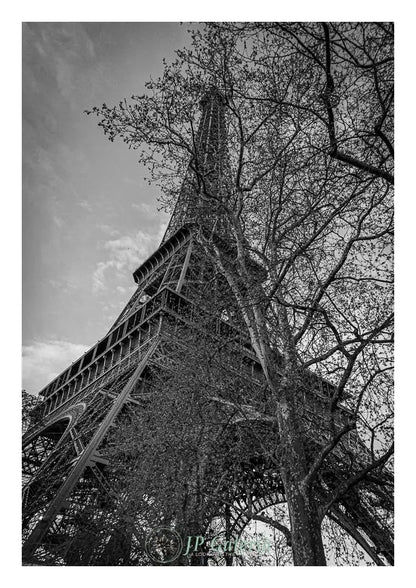 Paris Torre Eiffel - JP Galería