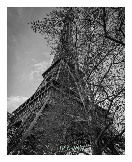 Paris Torre Eiffel - JP Galería